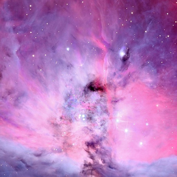 Meet your Posher, Samantha - Picture 1 of 1